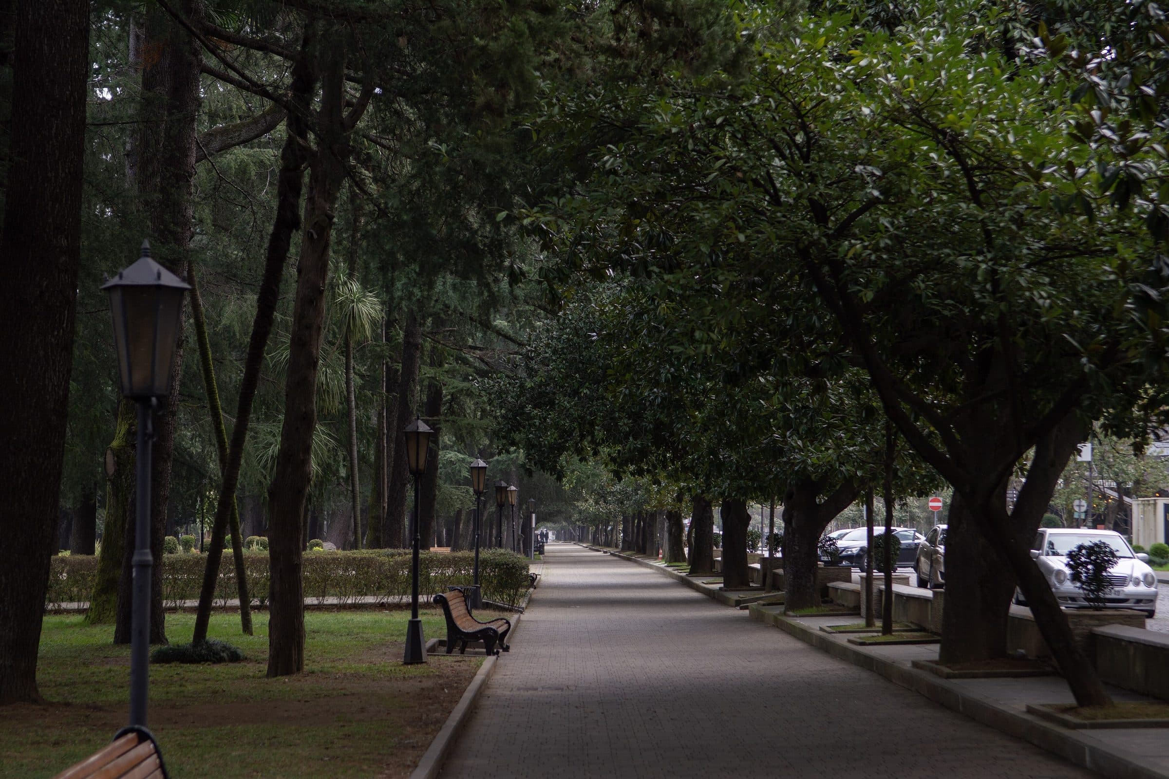 Allée arborée du boulevard de Batumi